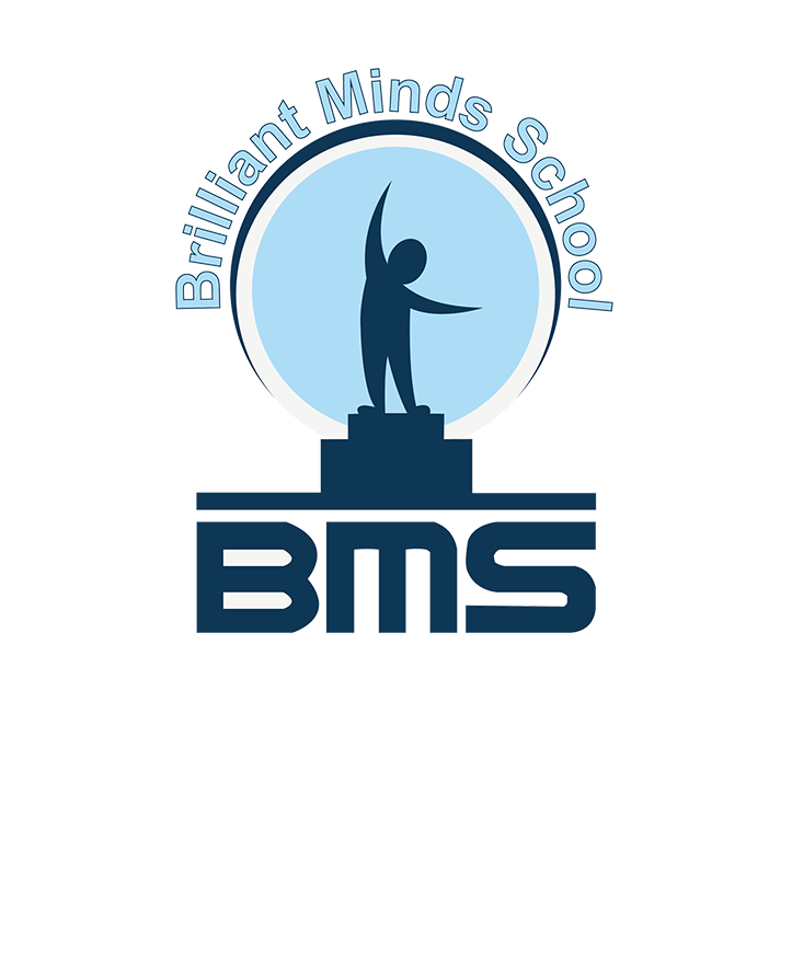 Brilliant Minds School